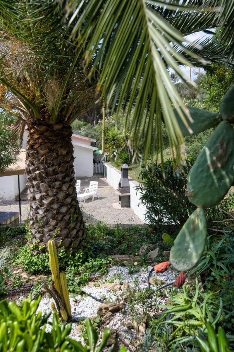 Alloggi Del Mirto A Morcone - Goelba Capoliveri  Buitenkant foto