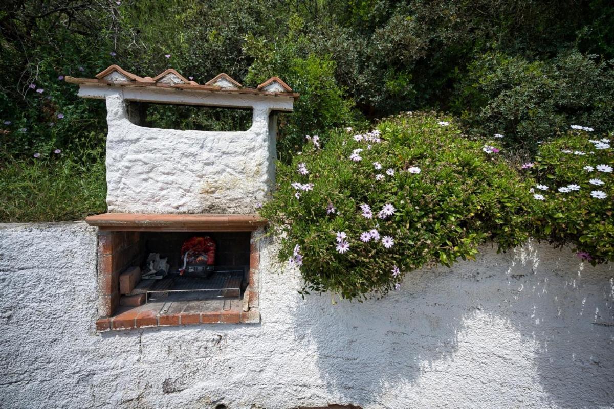 Alloggi Del Mirto A Morcone - Goelba Capoliveri  Buitenkant foto